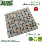 France jigsaw picked finish mesh back paver