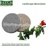 Dark gray stepping paver different kind of stone