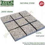 Granite G681 paving stone mat