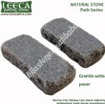 Granite light grey curbstone paver