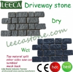 Interlock driveway paving stone paver mold