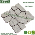 Decorative paving stone on net