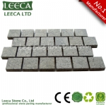 Driveway mesh paving stone